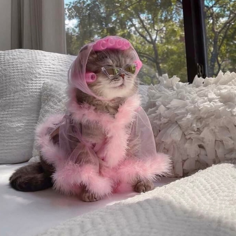 Meet your Posher, Melissa